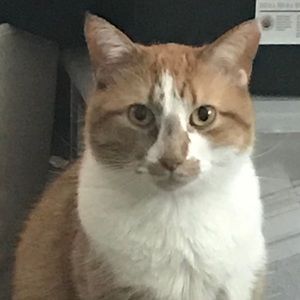 Meet your Posher, Lucy